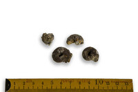 F 01993
<br/>
<br/>
<em></em>